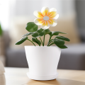 Plastic Plant Flower Pot With Tray Round White Upper 10cm. 