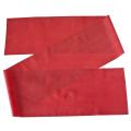 Theraband Red Medium 1.5M Elastic Resistance Bands For Home Workouts. 