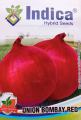 Vegetable Seeds - Onion Bombay Red Seeds 2 Gram. 