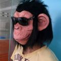 Props: Halloween, Full Face, Animal Mask, Gorilla Ape, Latex, Hairy Monkey, Black Rubber Face Mask, Funny Headgear, Role Play. 