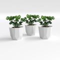 SHERA | Hexa 6" Planter | Indoor and Outdoor | Gamala | Flower Pot. 