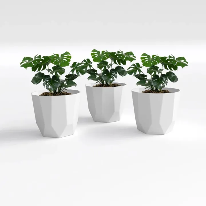 SHERA%20%7C%20Hexa%206"%20Planter%20%7C%20Indoor%20and%20Outdoor%20%7C%20Gamala%20%7C%20Flower%20Pot%20-%20Image%204