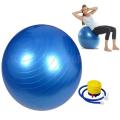 Anti- Burst 75 cm Exercise Ball Gym Ball with Hand Pump. 