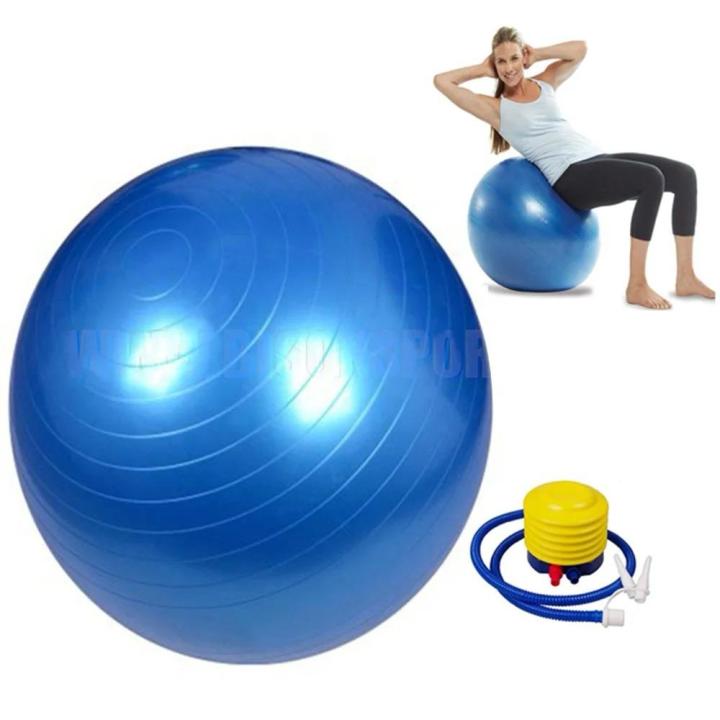 Anti- Burst 75 cm Exercise Ball Gym Ball with Hand Pump