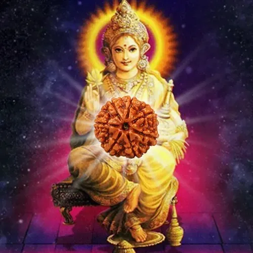 7%20Mukhi%20Rudraksha%20Real%20Seven%20Face%20Rudraksha%20-%20Image%203