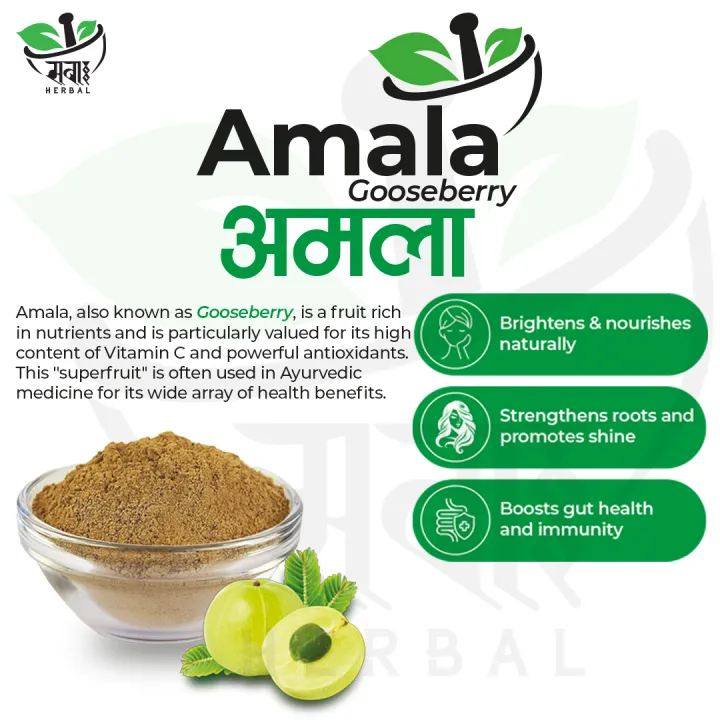 Amala Powder - 500 grams | Dried Amla Powder | Gooseberry Powder ...
