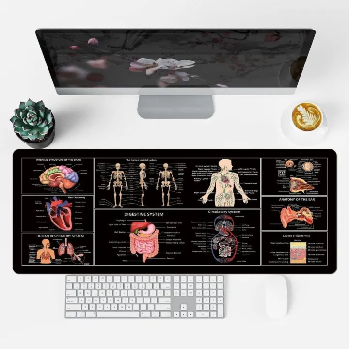 Convenient Java/Python/SQL Shortcut Mouse Pad Music/Medicine Stock ...