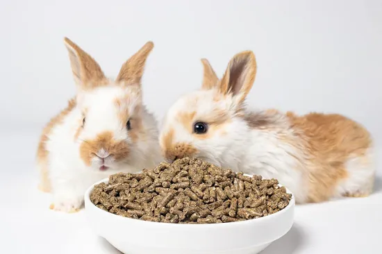 Rabbit Premium Food Pellets with Essential Nutrients & High Fiber ...