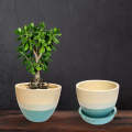 Gamala/ flower pot Blue Carlos  Plate Pot ceramic. 
