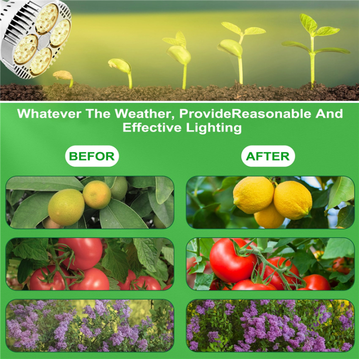 E27%20Plant%20Lamp%20Light%20Bulb%2035W%20LED%20Plant%20Grow%20Light%20-%20Image%206