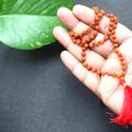 108 Rudraksha Mala Small Size 6mm Beads For Jaap and Wearing. 