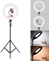 26 cm Ring Fill Light With 7 Feet Stand and Mobile Holder. 