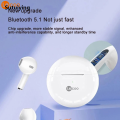 Sutuiying Original Lecoo EW305 TWS Earphone Wireless Bluetooth 5.1 Headphone Mic Waterproof Sport Headsets Noise Reduction Earbuds. 