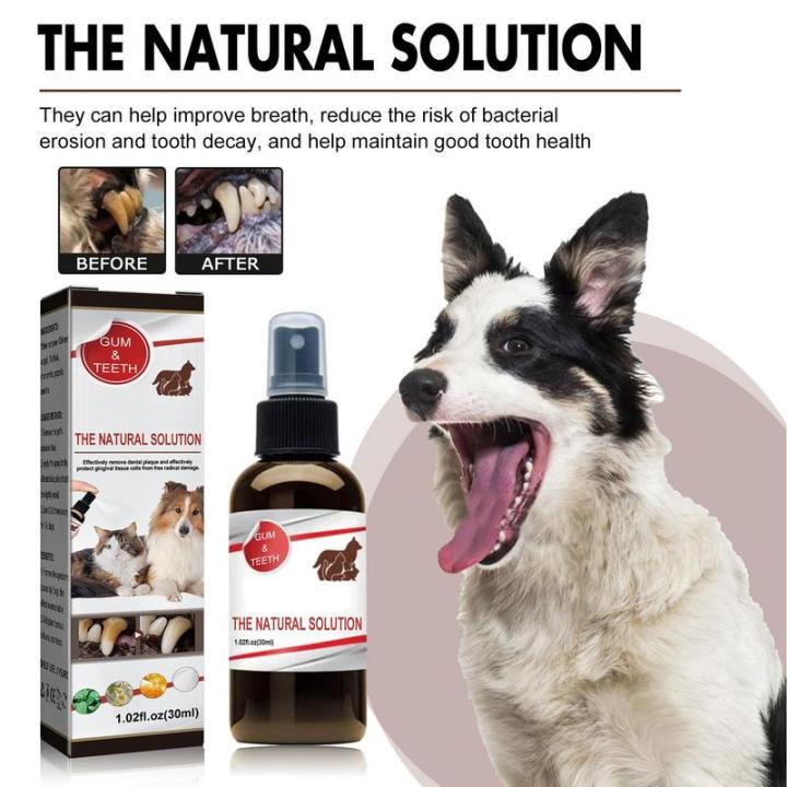 Dog%20Dental%20Spray%20Fresh%20Dental%20Spray%20For%20Dogs%20And%20Cats%20Dog%20Breath%20Freshener%20And%20Dog%20Teeth%20Cleaning%20For%20Dog%20Dental%20Care%2030ml%20Dog%20-%20Image%202