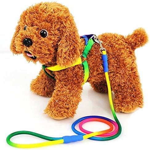 Printed%201Cm%20Adjustable%20Dog%20Belt%20For%20Small%20Medium%20Pet%20-%20Image%203