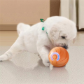 Smart PetToys Ball Electric Automatic Jumping Rolling Ball Interactive Game Rechargeable Moving Puppy/Kitty Toy. 