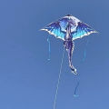1 Piece 1.4M Large Dragon Kite For Kids And Adults Huge Pterosaur Kite Come Tail Easy To Fly Kites Outdoor Toy YUEYING. 