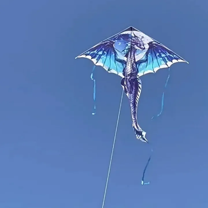 1%20Piece%201.4M%20Large%20Dragon%20Kite%20For%20Kids%20And%20Adults%20Huge%20Pterosaur%20Kite%20Come%20Tail%20Easy%20To%20Fly%20Kites%20Outdoor%20Toy%20YUEYING%20-%20Image%205