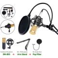 Bm800 Professional Condenser Microphone with V8 Sound Card. 