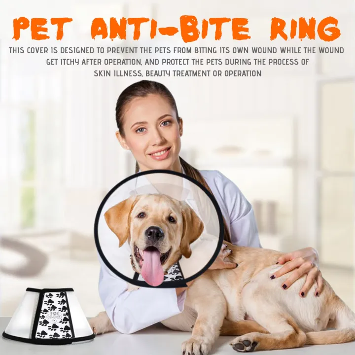 Elizabethan%20Dog%20Cat%20Pet%20Wound%20Healing%20Cone%20E-%20Collar%20White%20with%20Black%20-%20Image%203