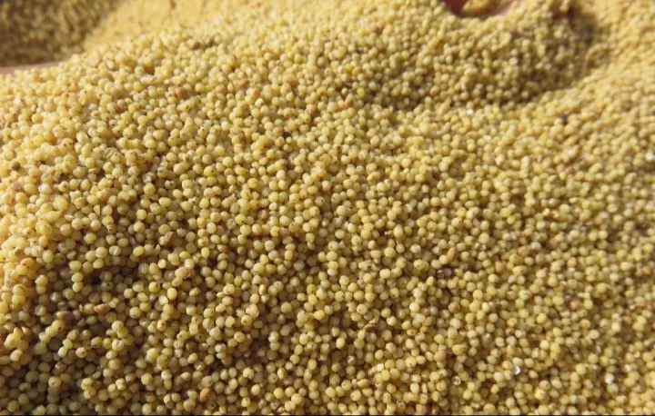 Kaguno%20/%20Karnali%20Ko%20Kaguno%20/%20Foxtail%20Millet%201%20Kg%20-%20Image%202