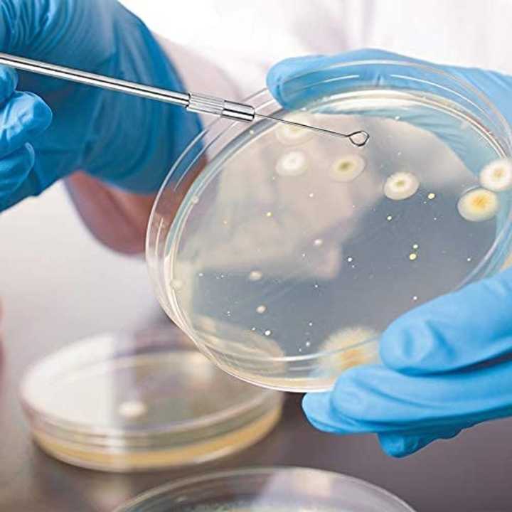 10%20PCS%20Borosilicate%20Petri%20Dishes%20With%20Lid%20And%2010%20Pcs%20Transfer%20Pippet,%2080mm%20x%2015mm%20Sterile%20Petri%20Dishes%20For%20Bioresearch%20Science%20Art%20Projects%20-%20Image%2010