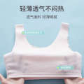 Underwear for Girls, Junior High School Students, Developmental Period, Free-Cut Padded Style, Tank Top Underwear, Teenage Girls Bra 8100. 