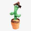 Green/Brown Cactus Plant For Kid. 