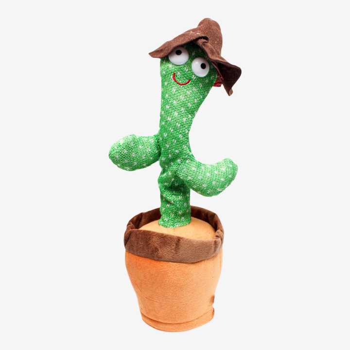 Green/Brown Cactus Plant For Kid