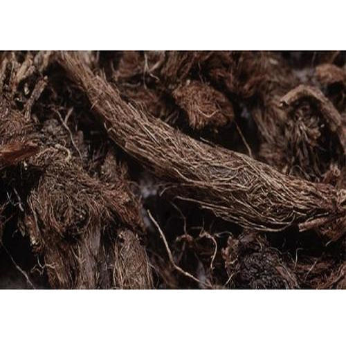 Jatamasi  Spikenard   - 500Gm