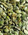 Kirana Pumpkin Seed (Farsi Biya) 1kg. 