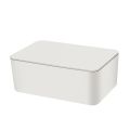 Mask storage box dustproof flip cover portable for home use. 