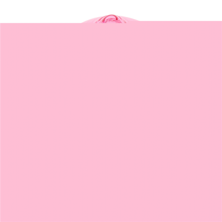 3X%20Cute%20Plastic%20Pig%20Clear%20Piggy%20Bank%20Coin%20Box%20Money%20Cash%20Saving%20Case%20Kids%20Toy%20Gift%20-%20Image%206