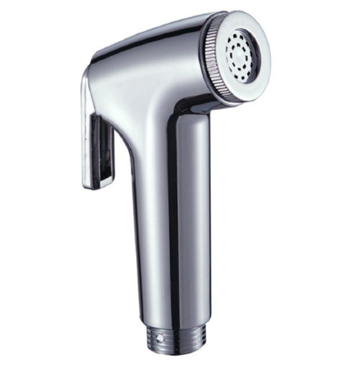 Commode (Toilet) Spray Head
