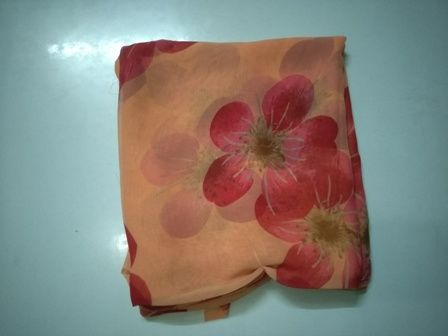 Japanese%20Chiffon%20Saree%20-%20Image%203