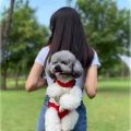 Outdoor Portable for Hiking Travel Hands-Free Comfortable Foldable Puppy Carring Bags Dog Carrier Backpack Pet Double Shoulder Bag Cat Travel Bag. 