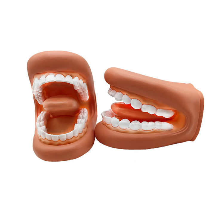 Puppet Braces 1 Set Dental Model Mighty Mouth Hand Puppet With Tongue For Speech ...