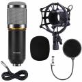 Professional Studio Condenser Microphone Sound Recording Dynamic + Mic Shock Moun. 