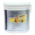 Asian Paints Apex UltimaExterior 4L (0950). 
