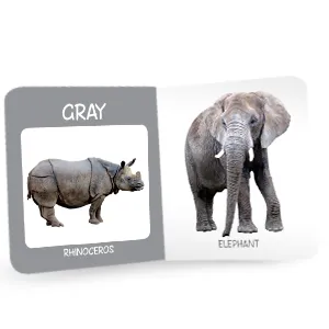 My%20First%20Little%20Librarian%20:%20One%20Nepali%20Varnamala%20Plus%2010%20Board%20Book%20for%20Kids%20Age:%200%20to%203%20(Preschool%20/%20Toddler)%20%20My%20First%20Library%20of%20Learning%20Library%20.%20-%20Image%208