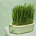 Pet Supplies Good Quality Soilless Hydroponic Growing Cup Lazy Planting Cup Hydroponic Cultivation Cat Care Products. 