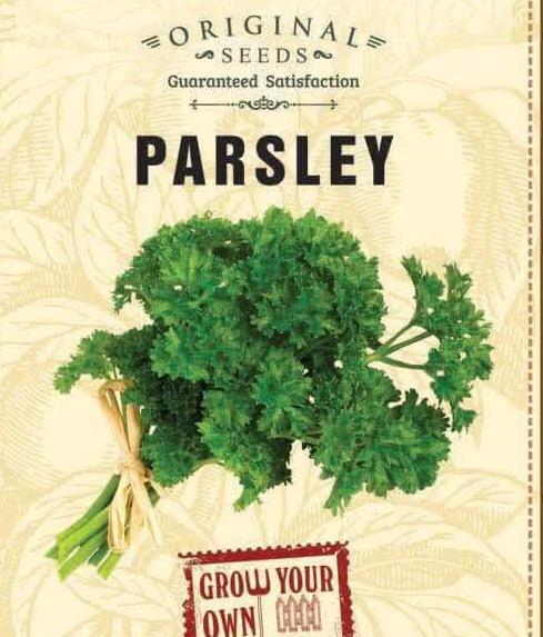 1 Packet Parsley Seeds - Organic Green Vegetable Seeds / Herb Seed