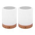 2X Night Light, Touch Lamp for Bedrooms Living Room Portable Table Bedside Lamps with Rechargeable Internal. 