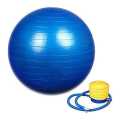 Anti- Burst Gym Balls 75 cm Exercise Ball Gym Ball with Pump free (multicolor). 