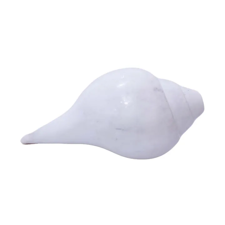 Puja%20Shankha%20Big%20Size%20-%20Image%204