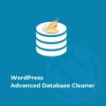 WordPress Advanced Database Cleaner Pro. 