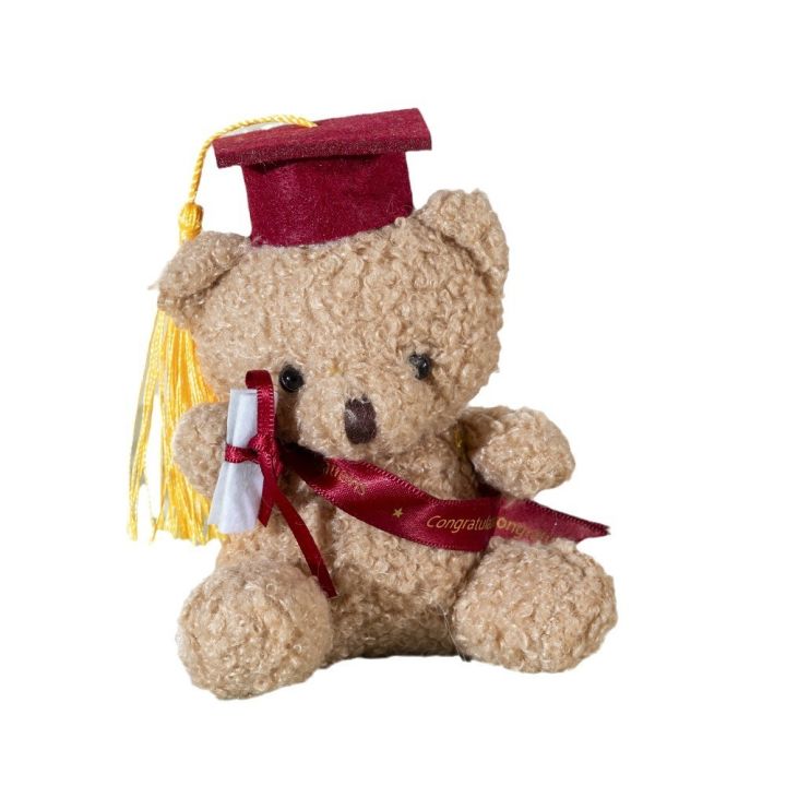 Gift%20Plush%20Doctor%20Nursery%20Gift%20Graduation%20Fleece%20Doll%20Dr.%20Cub%20Bear%20Cute%20Furry%20Teddy%20Bear%20Hanging%20Bag%20Charm%20Key%20Ring%20Holder%20-%20Image%202