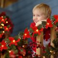 Original 2M10LED Christmas Garland Lighting Strings Artificial Red Flowers Holly Leaves for Home 2024 Xmas Ornament New Year Gifts 2025. 