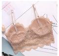 Lace Padded Cage Bralatte For Women. 