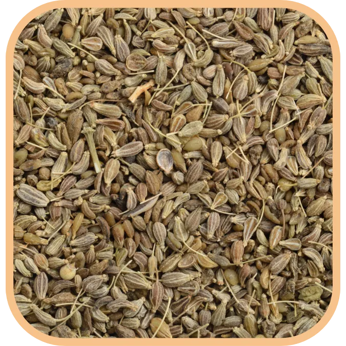 Nepali%20Saunf%20(Aniseed)%20200gm%20-%20Image%202